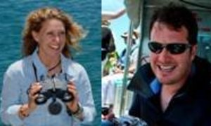 Whale Coast Cetacean Project